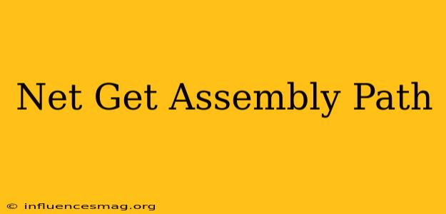 .net Get Assembly Path