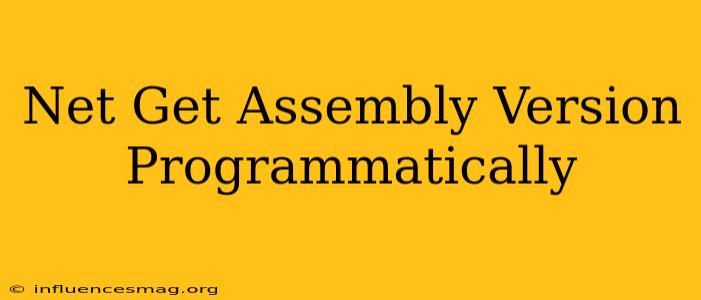 .net Get Assembly Version Programmatically
