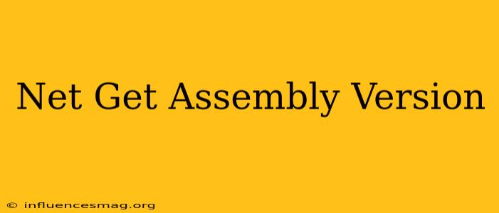 .net Get Assembly Version