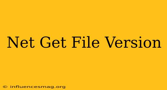 .net Get File Version