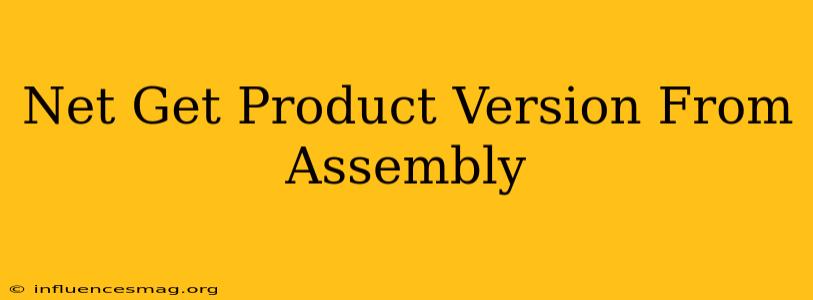 .net Get Product Version From Assembly