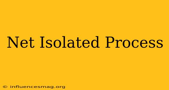 .net Isolated Process