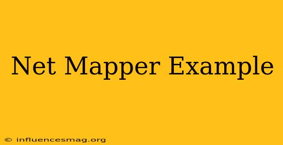 .net Mapper Example