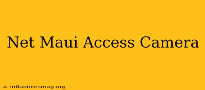 .net Maui Access Camera