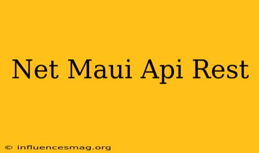 .net Maui Api Rest