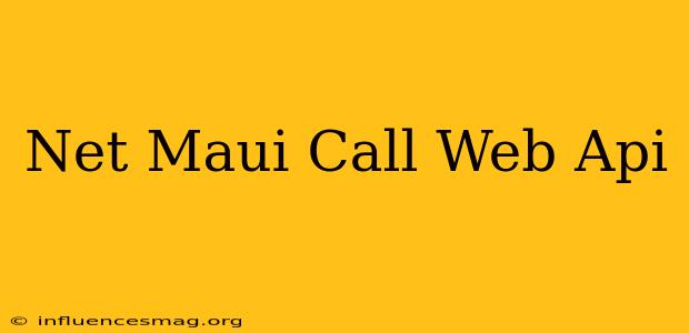 .net Maui Call Web Api