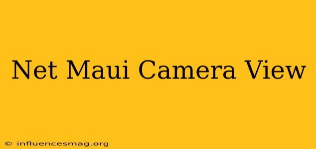 .net Maui Camera View