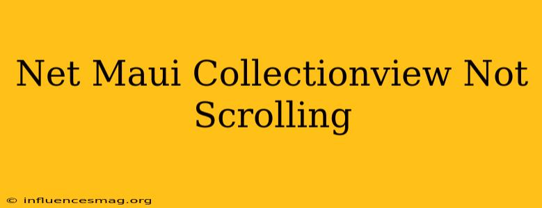 .net Maui Collectionview Not Scrolling