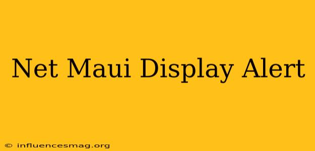 .net Maui Display Alert