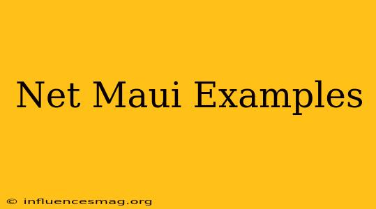 .net Maui Examples