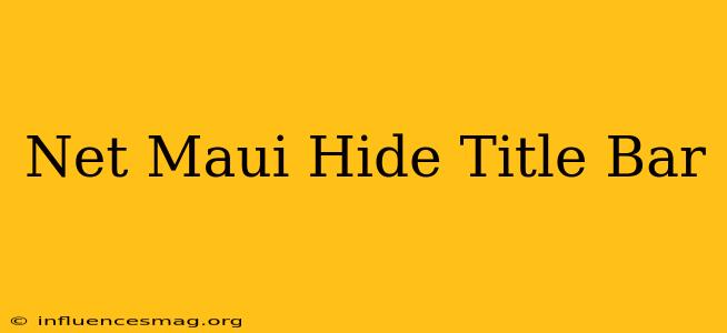 .net Maui Hide Title Bar