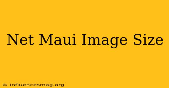 .net Maui Image Size