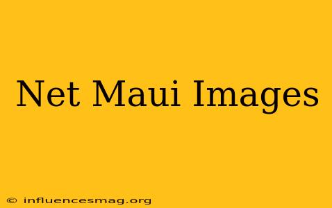 .net Maui Images