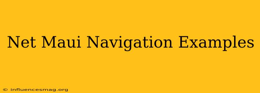 .net Maui Navigation Examples
