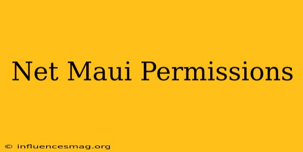 .net Maui Permissions