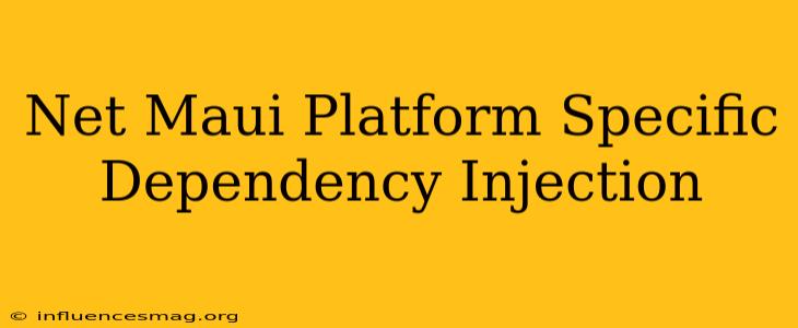 .net Maui Platform Specific Dependency Injection