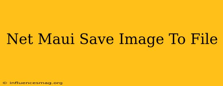.net Maui Save Image To File