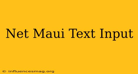 .net Maui Text Input