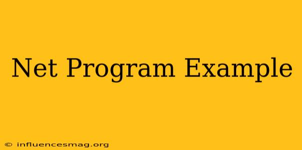 .net Program Example