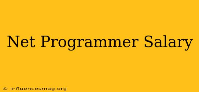 .net Programmer Salary