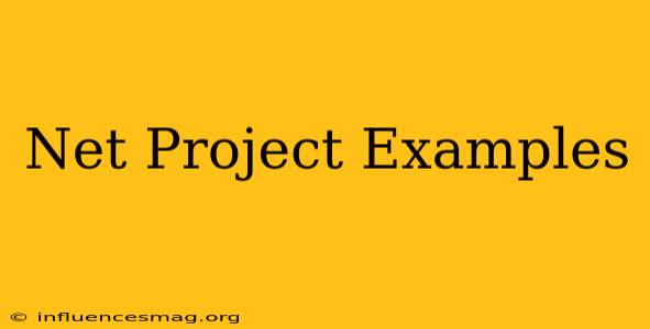 .net Project Examples