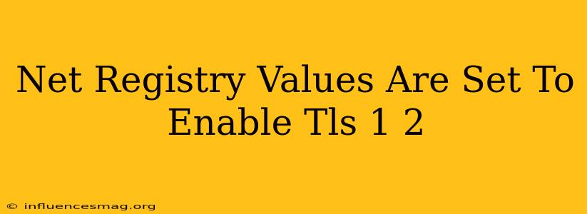 .net Registry Values Are Set To Enable Tls 1.2