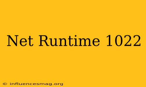 .net Runtime 1022 エラー