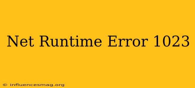 .net Runtime Error 1023