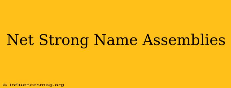 .net Strong Name Assemblies