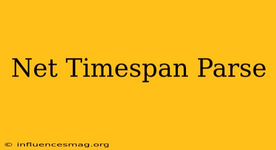 .net Timespan Parse