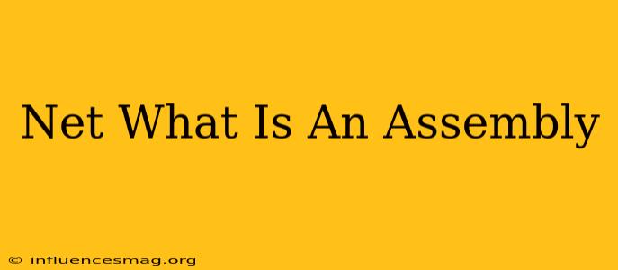 .net What Is An Assembly