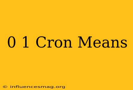 0 */1 * * * Cron Means