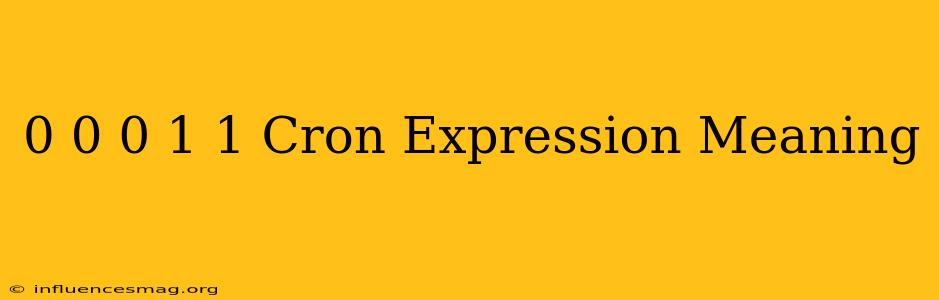 0 0 0 1/1 * * Cron Expression Meaning
