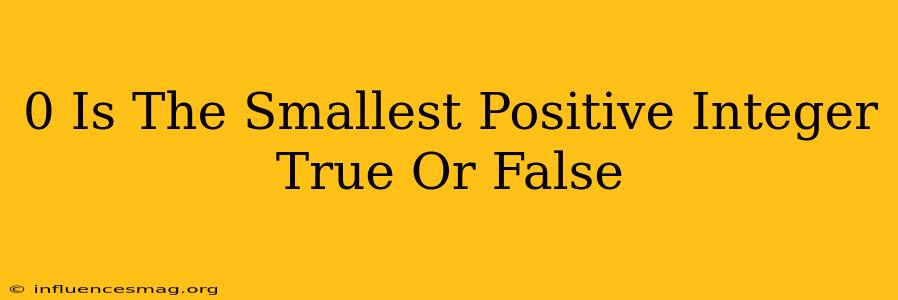 0 Is The Smallest Positive Integer True Or False