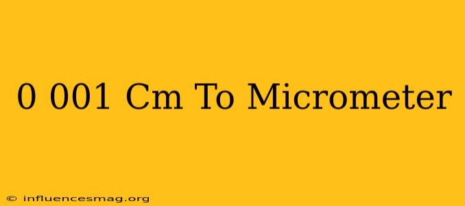 0.001 Cm To Micrometer