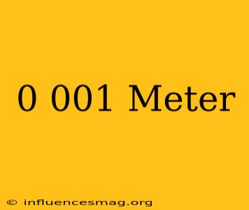 0.001 Meter =