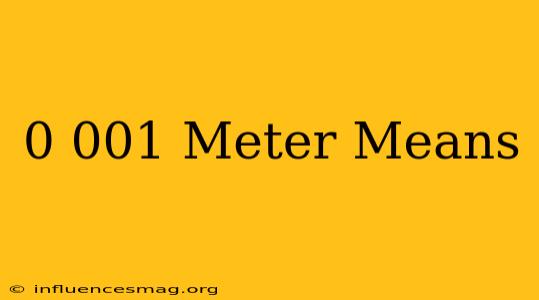 0.001 Meter Means