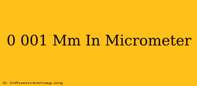 0.001 Mm In Micrometer