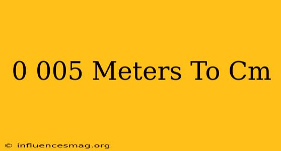 0.005 Meters To Cm