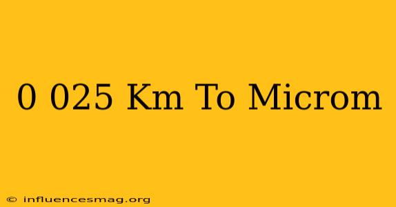 0.025 Km To Microm